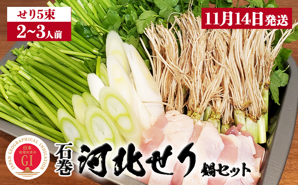 【11月14日発送】せり鍋 セット 2-3人前 せり 長ねぎ パックご飯 スープ 鶏肉 セリ セリ鍋 河北せり 野菜 鍋