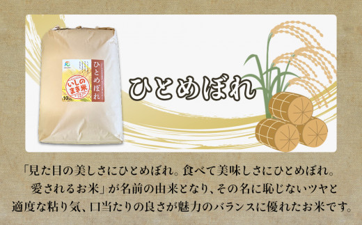 宮城県いしのまき産米「令和6年産ひとめぼれ」（精米）10kg