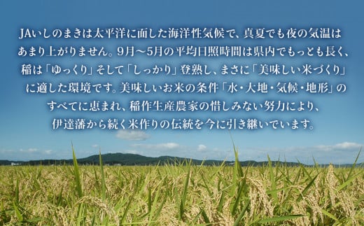 宮城県いしのまき産米「令和6年産ひとめぼれ」（精米）10kg