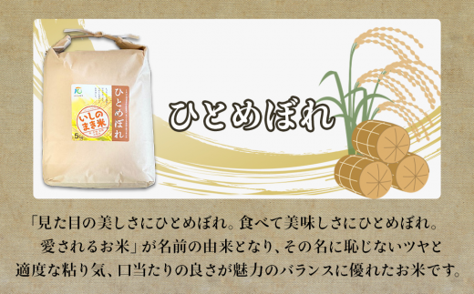 【定期便2回・毎月発送】宮城県いしのまき産米 5kg×2回 ひとめぼれ（精米）