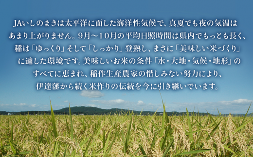 【定期便2回・毎月発送】宮城県いしのまき産米 5kg×2回 ひとめぼれ（精米）