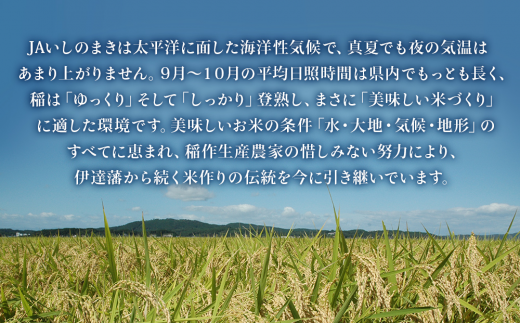 【定期便5回・毎月発送】宮城県いしのまき産米 5kg×5回 ひとめぼれ（精米）