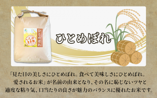 【定期便3回・毎月発送】宮城県いしのまき産米 10kg×3回 ひとめぼれ（精米）