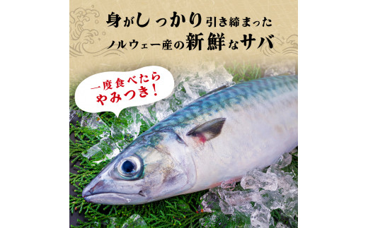 訳あり 塩サバフィレ 2kg 塩さばフィレ  塩鯖フィレ さばフィレ サバフィレ 鯖フィレ 冷凍 無添加 鯖 切身 宮城県 石巻市 魚 鯖 さば サバ 切身 切り身 魚 鯖 さば サバ 切身 切り身 魚 鯖 さば サバ 切身 切り身 魚 鯖 さば サバ 切身 切り身 魚 鯖 さば サバ 切身 切り身