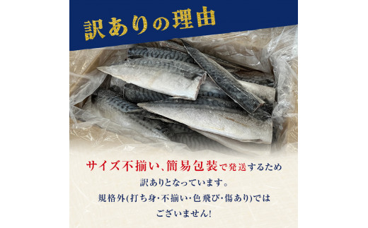 訳あり 無塩 サバフィレ 2kg さばフィレ  鯖フィレ サバフィレ 冷凍鯖 切身 宮城県 石巻市 魚 鯖 さば サバ 切身 切り身