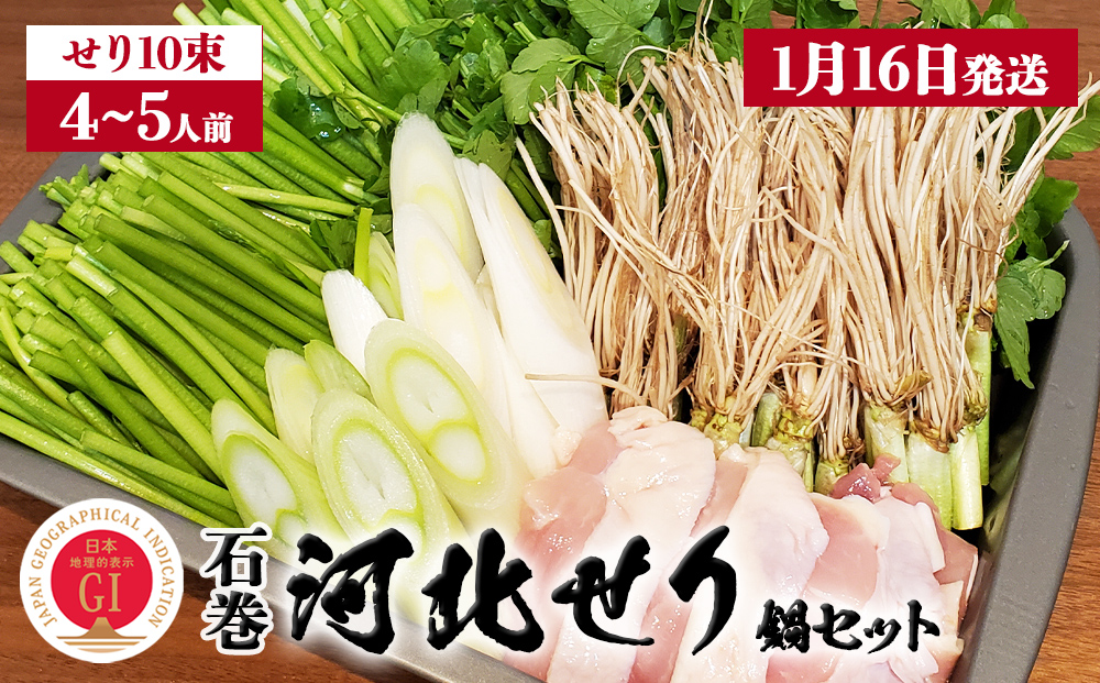 【1月16日発送】せり鍋 セット 4-5人前 せり 長ねぎ パックご飯 スープ 鶏肉 セリ セリ鍋 河北せり 野菜 鍋