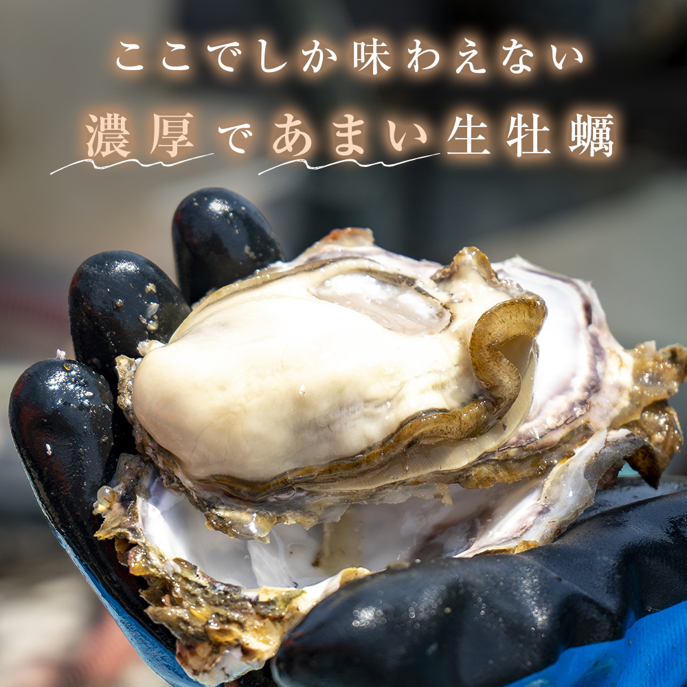 宮城県産 冷凍 殻付き 牡蠣 15個 生食可 小分け カキ かき 魚介類 海産物 海鮮 生牡蠣 濃厚 大粒