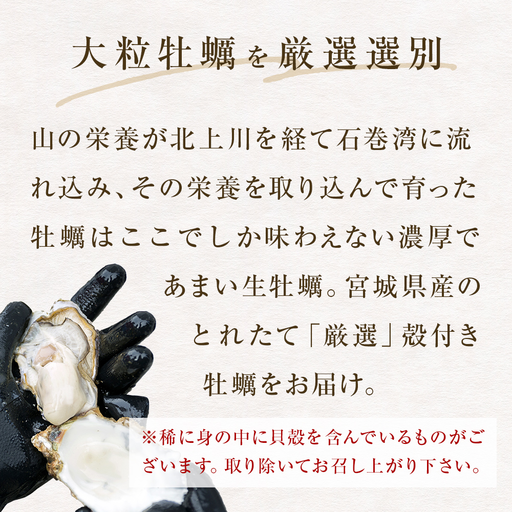 宮城県産 冷凍 殻付き 牡蠣 15個 生食可 小分け カキ かき 魚介類 海産物 海鮮 生牡蠣 濃厚 大粒