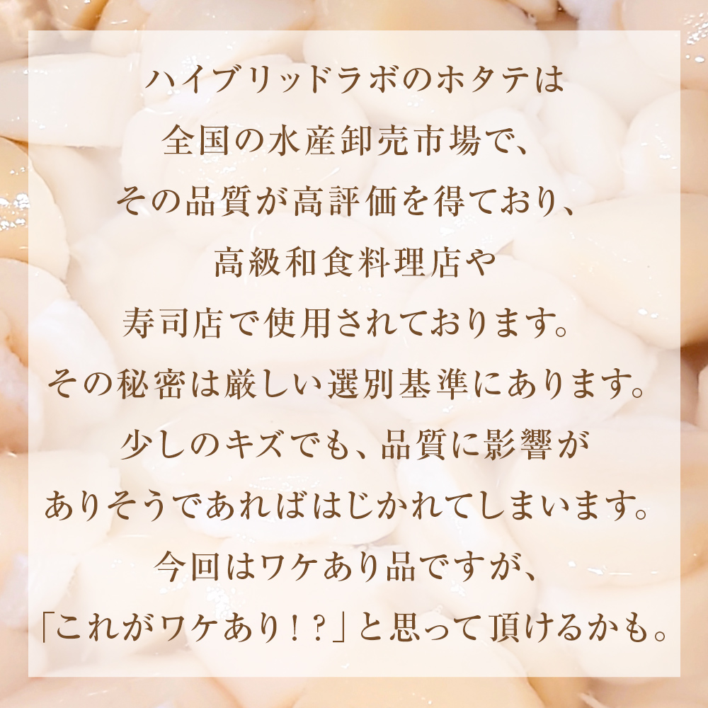 【先行予約】ほたて ＜訳あり＞ 貝柱 500g 加熱用 帆立 ホタテ 魚介類 わけあり 不揃い 冷凍 魚介 魚介類 貝 貝類 海鮮 ホタテ貝柱 訳アリ おつまみ 加熱 シーフード お取り寄せ グルメ 人気 つまみ 酒の肴 帆立貝柱 宮城県 石巻 石巻市 送料無料