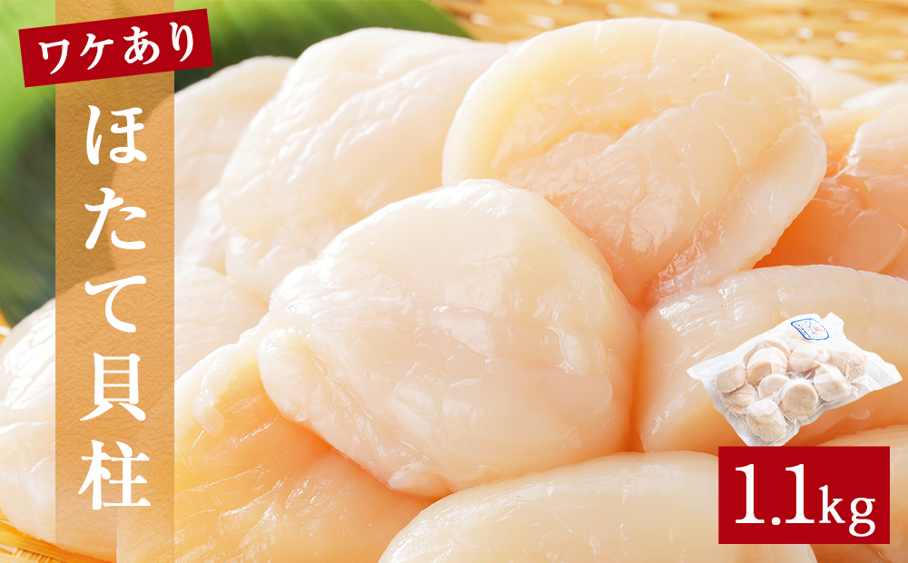 【先行予約】ほたて ＜訳あり＞ 貝柱 1.1kg 加熱用 帆立 ホタテ 魚介類 わけあり 不揃い 冷凍 魚介 魚介類 貝 貝類 海鮮 ホタテ貝柱 訳アリ おつまみ 加熱 シーフード お取り寄せ グルメ 人気 つまみ 酒の肴 帆立貝柱 宮城県 石巻 石巻市 送料無料