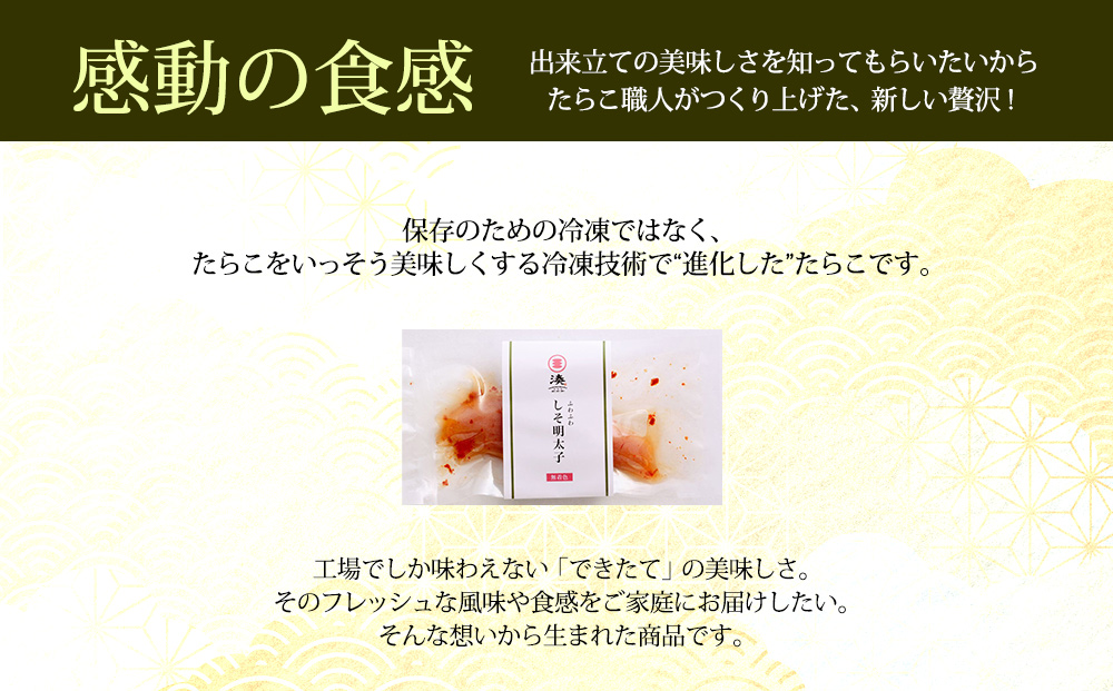 遏ウ蟾サ縲縺オ繧上オ繧冗┌逹濶イ縺励◎譏主、ェ蟄5譛ャ繧サ繝繝