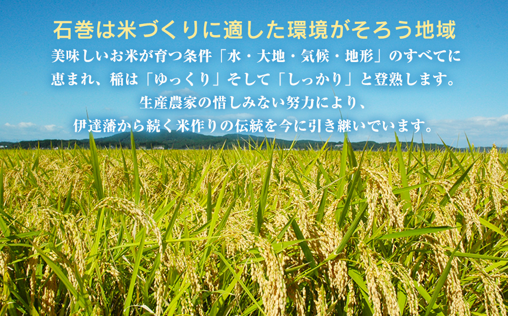 JAいしのまき　令和6年産　だて正夢3kg