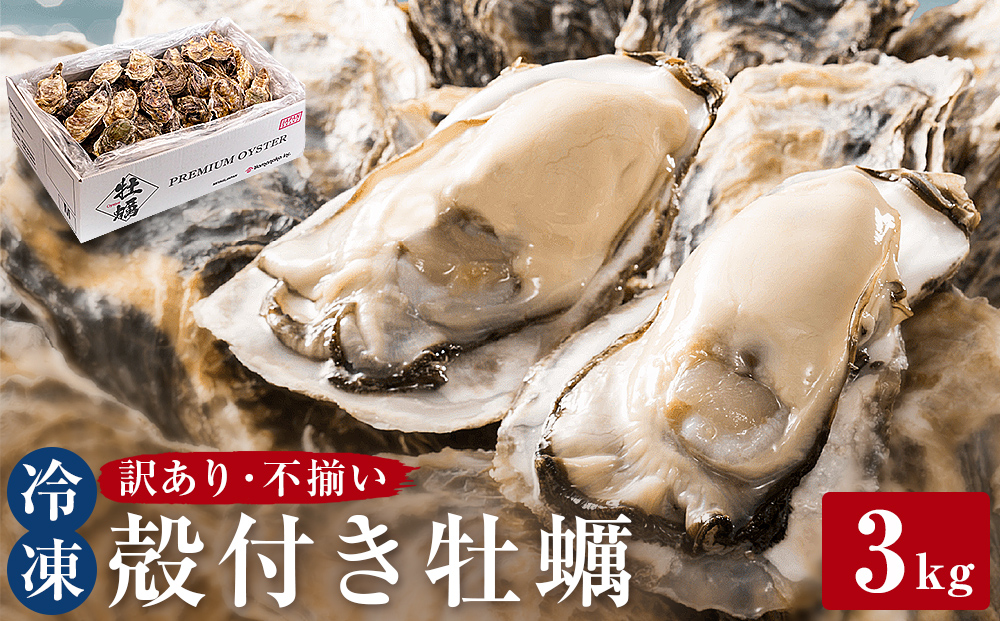 ＜訳あり・不揃い＞ 牡蠣 冷凍 殻付き 牡蠣 3kg 三陸産 不揃い カキ かき 加熱用 カンカン焼き ガンガン焼き 蒸し牡蠣 カキ 真牡蠣 BBQ 浜焼き バーベキュー 新鮮 海鮮 魚介 国産 取り寄せ グルメ 急速冷凍 宮城 石巻 宮城県 石巻市 送料無料