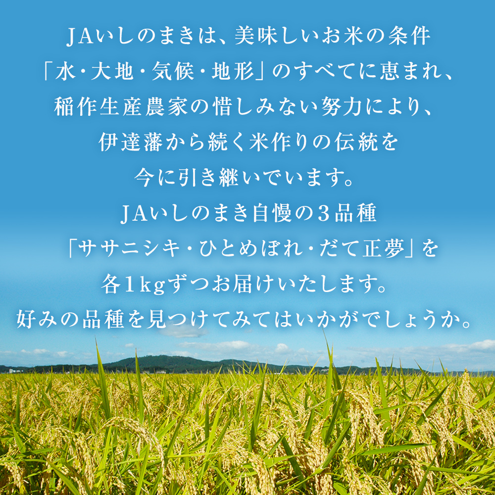 令和7年産 精米３品種 食べ比べ 米 ササニシキ ひとめぼれ だて正夢