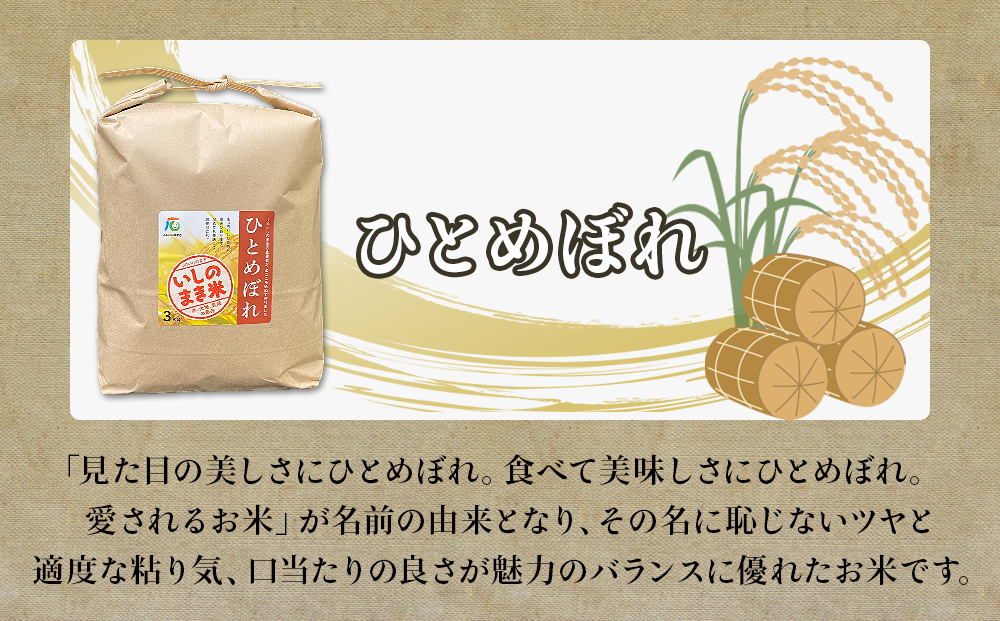 ＜定期便2回・毎月発送＞ ひとめぼれ いしのまき産米 精米 6kg 3kg×2回