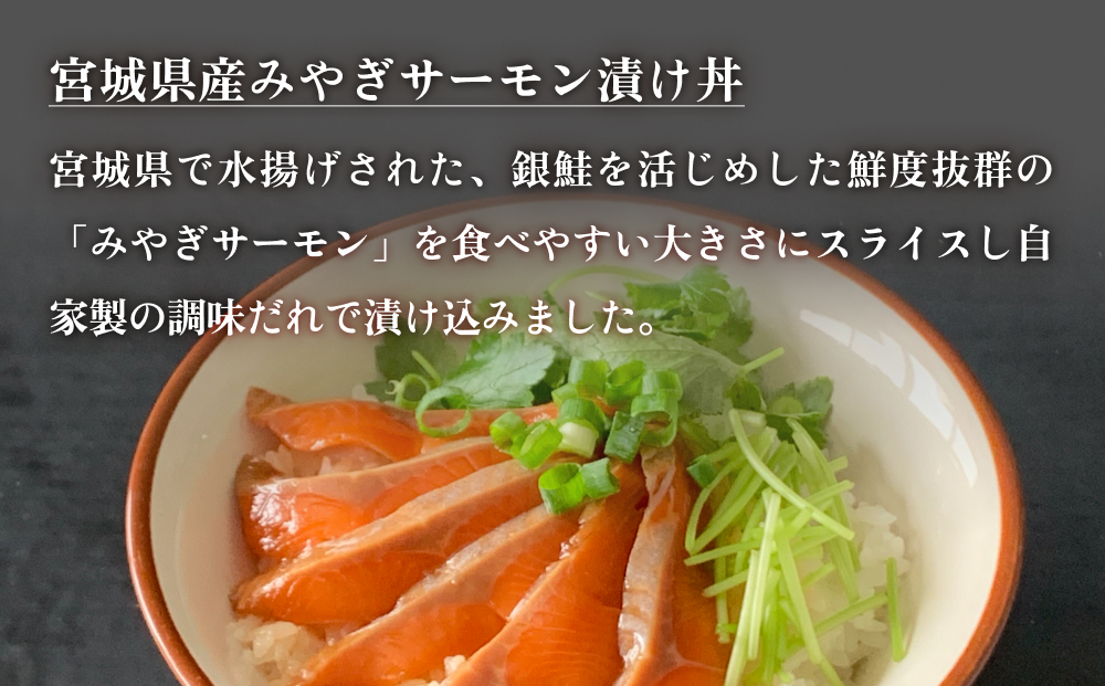 みやぎの海の幸 ごはんの素3種セット 金華さば みやぎサーモン 漬け丼 カンタン調理 牡蠣 炊き込み 混ぜ込み 宮城 石巻 本田水産