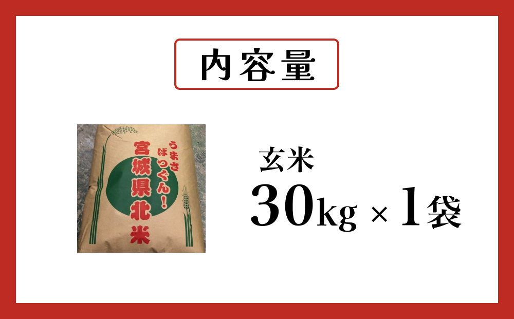 米 つや姫 令和7年産 玄米 30kg 宮城県産 石巻市 こめ コメ お米 ツヤ姫 ご飯 ごはん 主食 おにぎり 美味しい 甘み 旨み