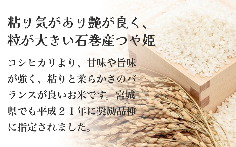 つや姫一等精米２７ｋｇ　令和6年度産