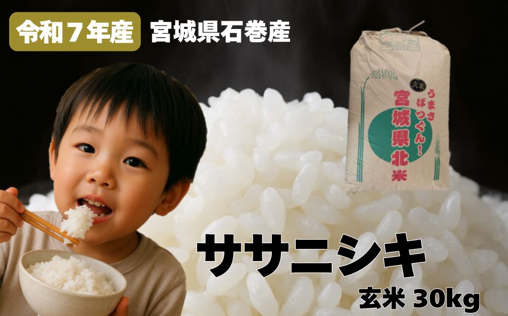 米 令和7年産 ササニシキ 玄米 30kg お米 ごはん ご飯 飯 30キロ 単一銘柄米 主食 家庭用 美味しい ブランド米 玄米食 あっさり 食感 甘味 健康食 食物繊維 ビタミン ヘルシー ささにしき おにぎり おかゆ 送料無料 宮城県 石巻 石巻市