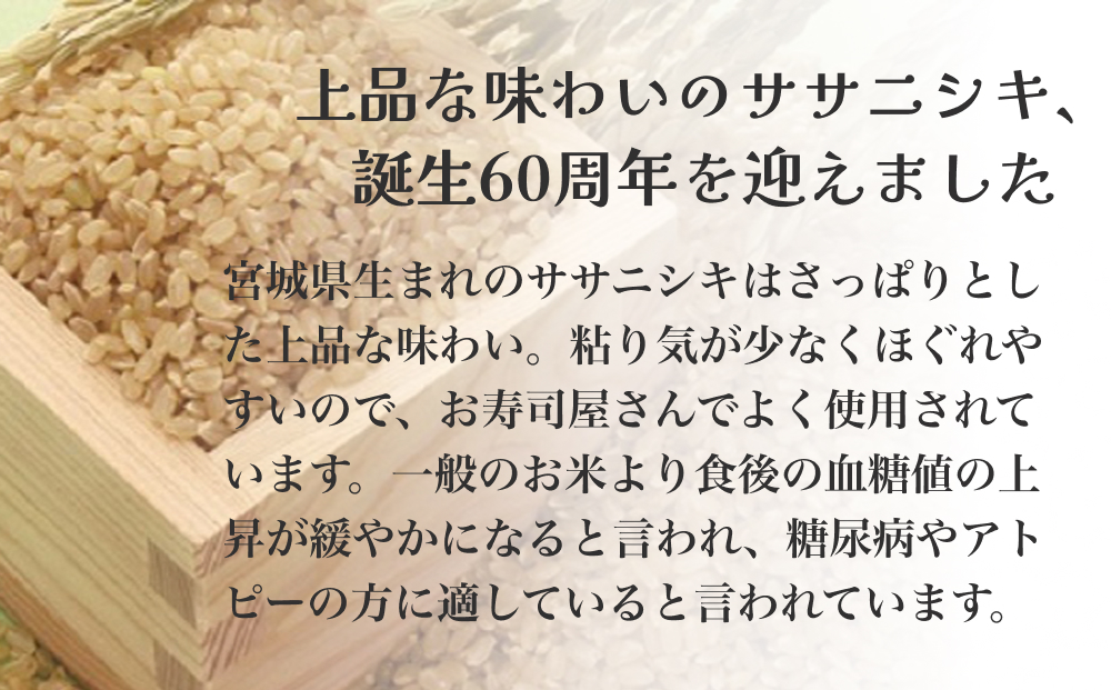 令和6年度産 ササニシキ玄米３０kg お米 米 ごはん ご飯 飯 一等玄米 単一銘柄米 主食 美味しい