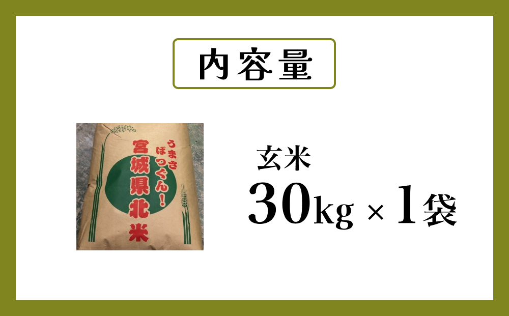 令和6年度産 ササニシキ玄米３０kg お米 米 ごはん ご飯 飯 一等玄米 単一銘柄米 主食 美味しい