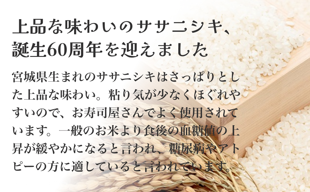 令和6年度産 ササニシキ精米２７kg 精米 お米 米 ごはん ご飯 飯 一等米 単一銘柄米 主食 美味しい