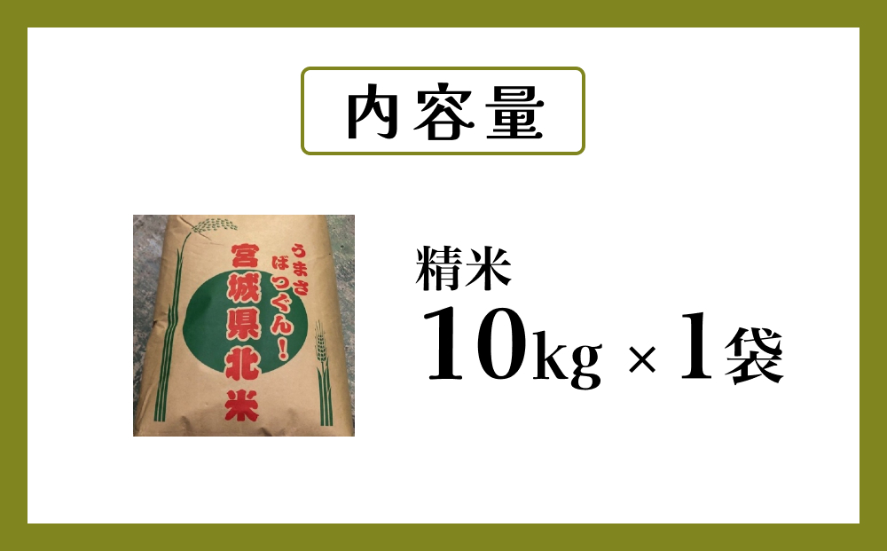 令和6年度産 ササニシキ精米１０kg お米 米 ごはん ご飯 飯 一等米 単一銘柄米 主食 美味しい