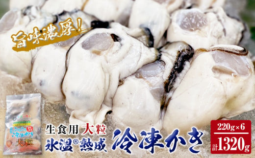 氷温熟成 冷凍 かき ( 生食用 ) 大粒 220ｇ× 6ｐ カキ 冷凍牡蠣 冷凍 国産 北海道産 生 剥き牡蠣 濃厚 旨味 むき身