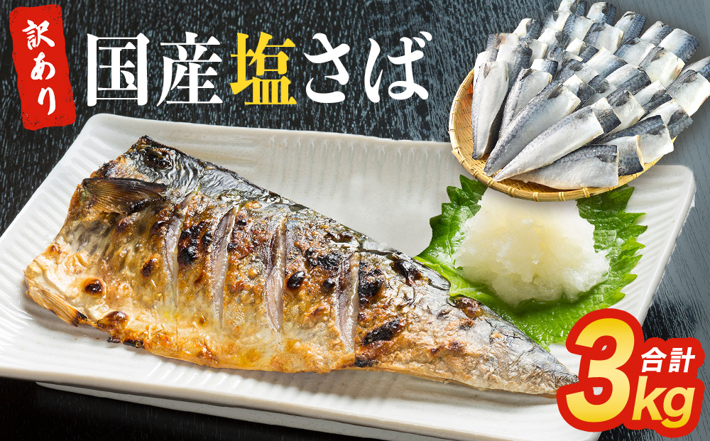 さば 〈 訳あり 〉 国産 塩さば フィーレ 3kg 冷凍 さば 切身 フィレ 鯖 わけあり 不揃い 急速冷凍 新鮮 魚 青魚 鯖フィレ サバフィーレ 塩鯖 さば 切り身 焼き魚 焼魚 おかず 宮城県 石巻市