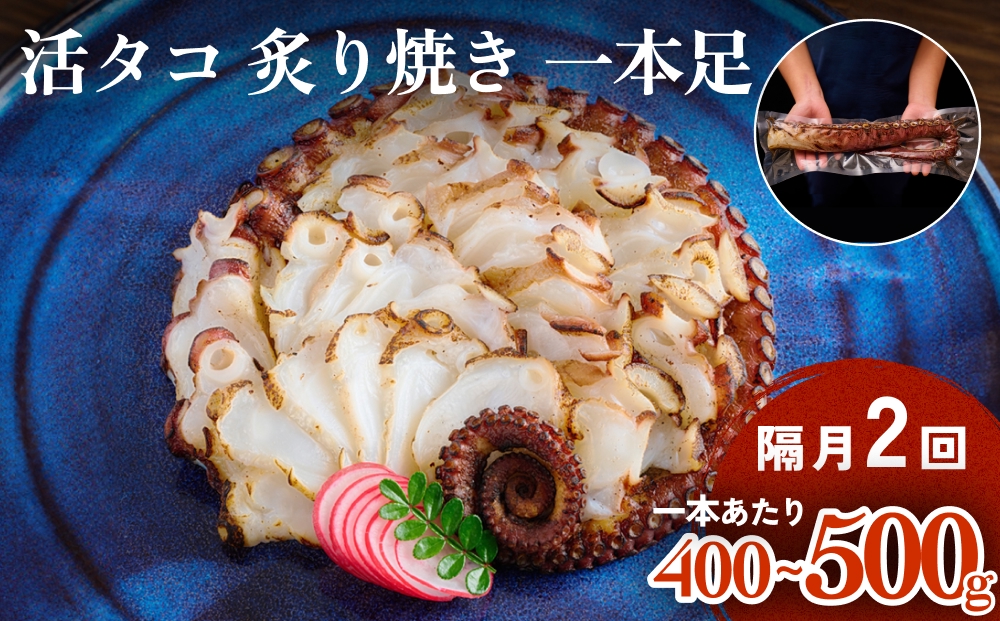活タコ 炙り焼き 一本足 定期便 隔月 2回 タコ たこ 直火焼き おかず おつまみ 蛸 刺身