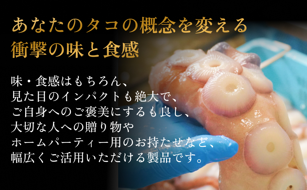 活タコ 炙り焼き 一本足 定期便 隔月 6回 タコ たこ 直火焼き おかず おつまみ 贈答用