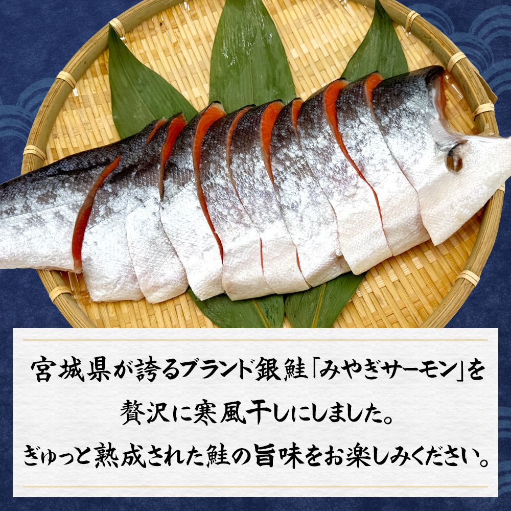 鮭 切り身 みやぎ サーモン 寒風干し 800g×2 宮城県産銀鮭 銀鮭 国産 さけ サケ シャケ 魚 切り身 冷凍 小分け 焼き魚 さかな 切身 おかず ご飯のお供 弁当 簡単調理 魚介 海鮮 熟成 高品質 高鮮度 低温熟成 宮城県 石巻 石巻市 送料無料