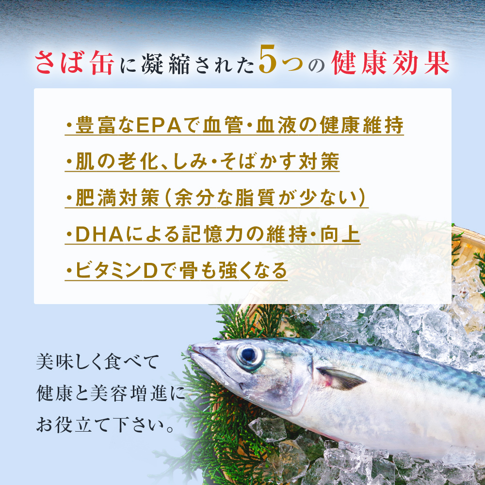 【4月配送】缶詰 さば缶詰 味噌煮 12缶 サバ缶 鯖缶 さば缶 鯖 味噌 国産 常温 長期保管 ローリングストック 備蓄 常温保存 防災 非常食 キャンプ 保存食 長期保存可 缶詰め セット 保存料 無添加 STIみやぎ