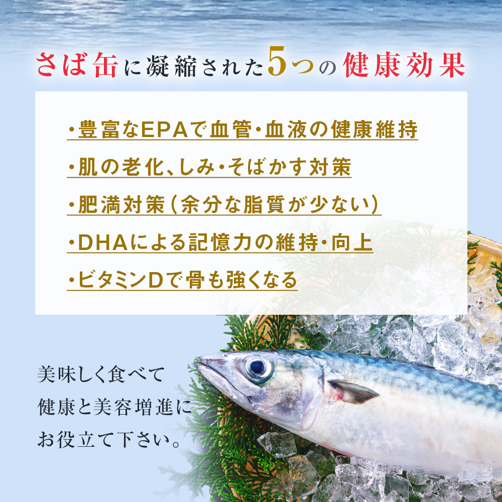 【4月配送】缶詰 さば缶詰 水煮 12缶 サバ缶 鯖缶 さば缶 鯖 国産 常温 長期保管 ローリングストック 備蓄 常温保存 防災 非常食 キャンプ 保存食 長期保存可 缶詰め セット 保存料 無添加 STIみやぎ