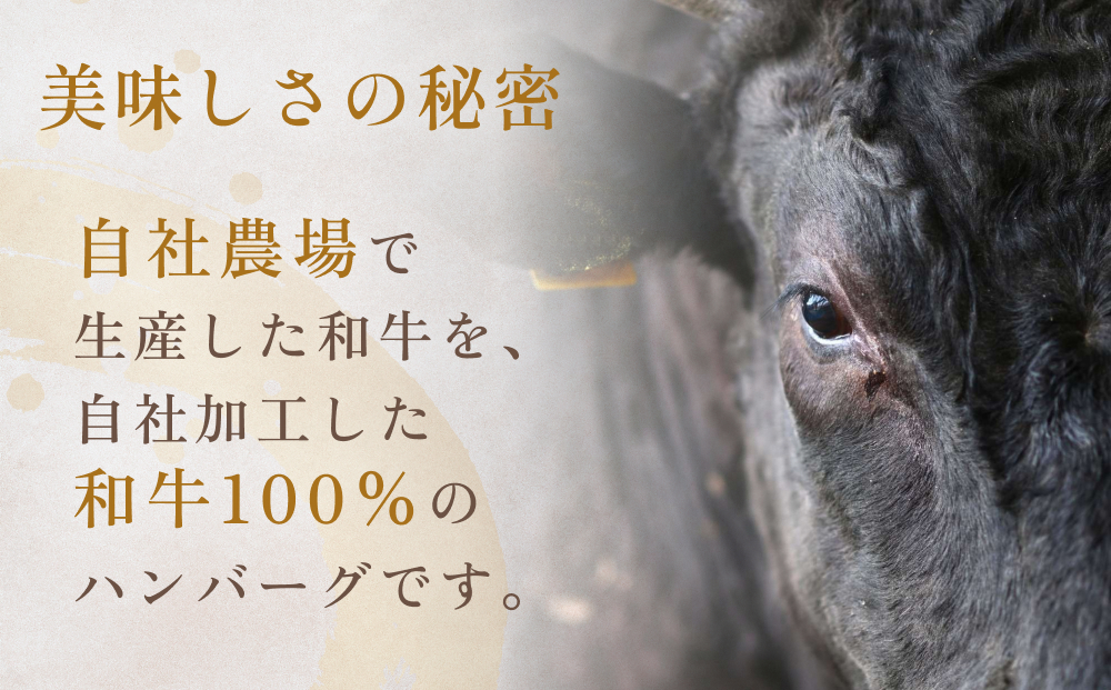 黒毛和牛 三陸金華和牛 南部の赤牛 伊達の赤 和牛ハンバーグ 3種各200g×2 食べ比べ セット 赤身 国産 美味しい 使いやすい 肉 お肉 おかず 冷凍