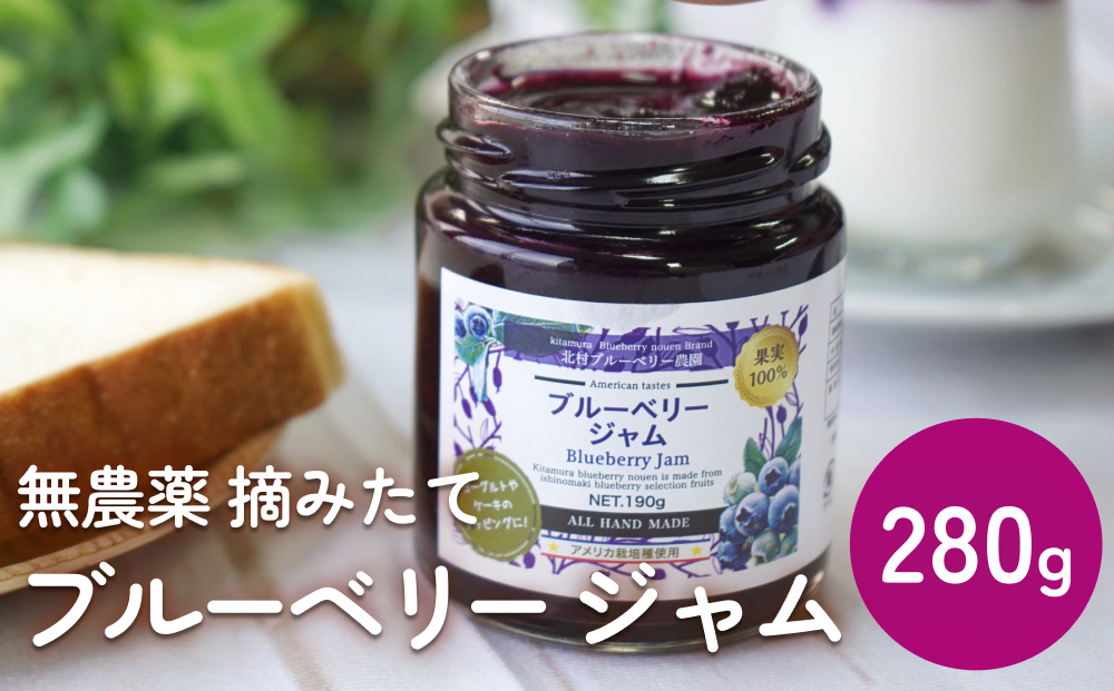 ＜ 先行予約 ＞ ブルーベリージャム 280g  無添加 摘みたて 手作り 果実 100% アントシアニントッピング