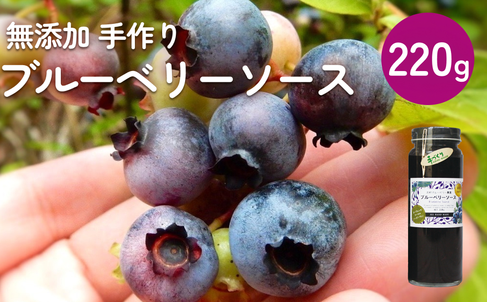 ＜ 先行予約 ＞ ブルーベリーソース 220g 無添加 手作り フルーツソース 果実 さっぱり