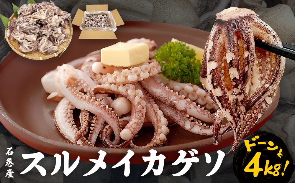 訳あり 石巻産スルメイカゲソ 4kg 宮城県産 冷凍 国産 下足 イカ イカゲソ 唐揚げ いかげそ おつまみ 魚介類 焼イカ バーベキュー BBQ わけあり 不揃い 烏賊 炒め物 フライ ゲソ天 唐揚げ  イカゲソ4kg 宮城県 石巻市