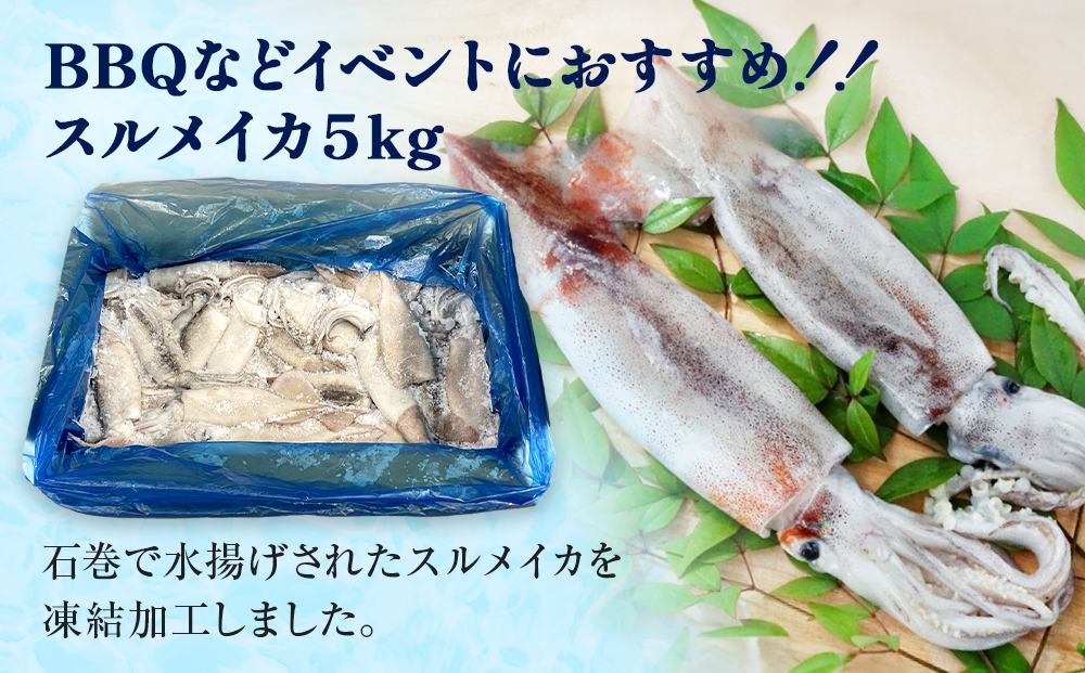 èš³ãã ç³å·»ç£ ã¹ã«ã¡ã€ã« 5kg 倧容é äžæã å ç±çš