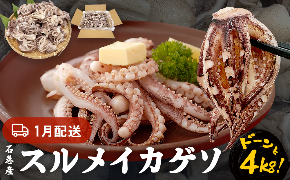 訳あり 石巻産スルメイカゲソ 4kg 1月配送 冷凍 国産 いか 下足 おつまみ ゲソ天 焼イカ おかず