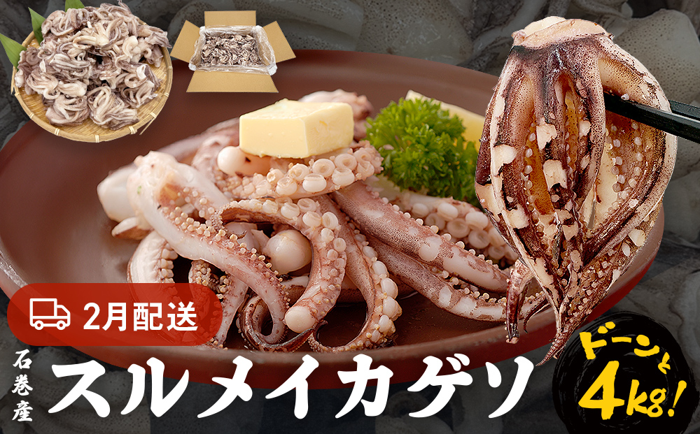 訳あり 石巻産スルメイカゲソ 4kg 2月配送 冷凍 国産 いか 下足 おつまみ ゲソ天 焼イカ おかず