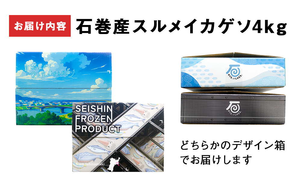 訳あり 石巻産スルメイカゲソ 4kg 3月配送 冷凍 国産 いか 下足 おつまみ ゲソ天 焼イカ おかず