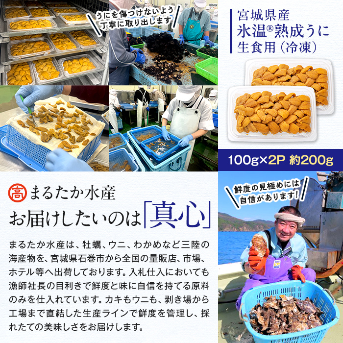 冷凍生うに 氷温(R)熟成 生うに 100g×2 合計200g 宮城県産 岩手県産 生ウニ 生雲丹 うに ウニ 雲丹 新鮮うに キタムラサキウニ きたむらさきうに うに丼 ウニ丼 雲丹 冷凍うに 冷凍ウニ 冷凍雲丹 ウニ ウニ ウニ ウニ ウニ ウニ ウニ ウニ ウニ ウニ ウニ ウニ ウニ ウニ