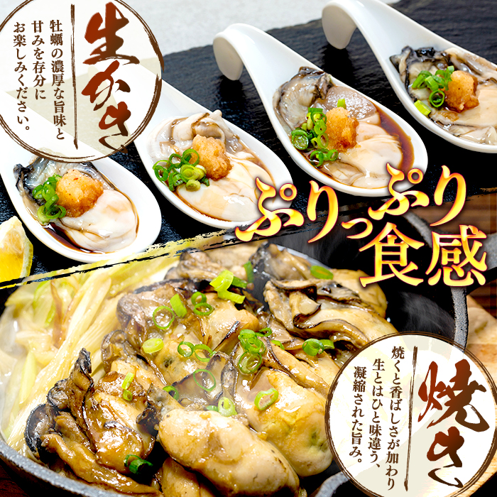 氷温熟成 冷凍 かき ( 生食用 ) 小粒 220ｇ× 6ｐ