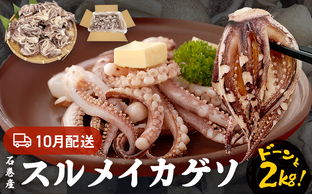 訳あり 石巻産スルメイカゲソ 2kg 10月配送 冷凍 国産 いか 下足 おつまみ ゲソ天 焼イカ おかず