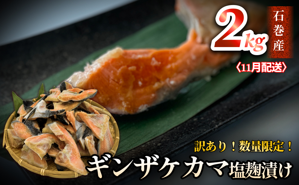 【数量限定】11月配送 訳あり ギンザケ カマ 塩麹漬け 石巻産 2kg 銀鮭 鮭カマ  さけカマ ギンザケカマ 銀鮭カマ 塩麹漬けカマ 鮭 漬魚 サーモン 鮭 焼き魚 魚 焼魚