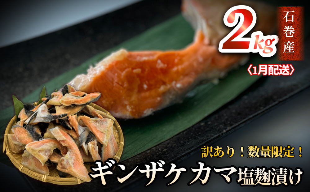 【数量限定】1月配送 訳あり ギンザケ カマ 塩麹漬け 石巻産 2kg 銀鮭 鮭カマ  さけカマ ギンザケカマ 銀鮭カマ 塩麹漬けカマ 鮭 漬魚 サーモン 鮭 焼き魚 魚 焼魚