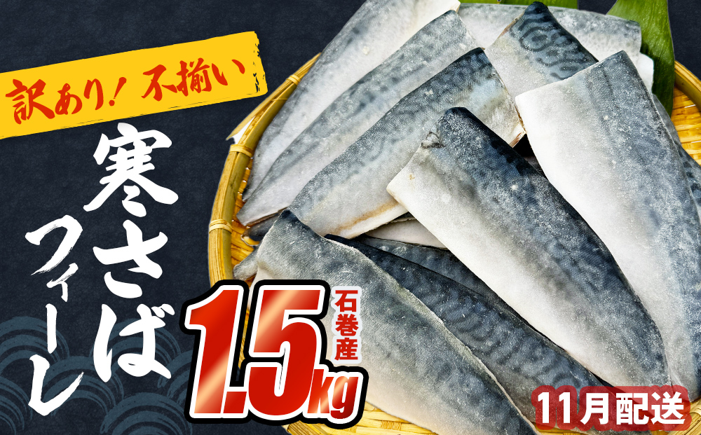 さば 〈 訳あり 〉11月配送 宮城県産 寒さば フィーレ 無塩 1.5kg 冷凍　魚 青魚 鯖 切身 焼魚 煮魚 わけあり 不揃い ご家庭用 食塩無添加 国産 鯖フィレ サバフィーレ 切り身 バラバラ冷凍 鯖の味噌味 宮城県 石巻市