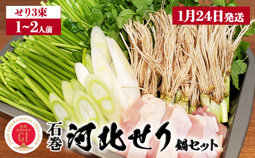 【1月24日発送】せり鍋 セット 1-2人前 せり 長ねぎ パックご飯 スープ 鶏肉 セリ セリ鍋 河北せり 野菜 鍋