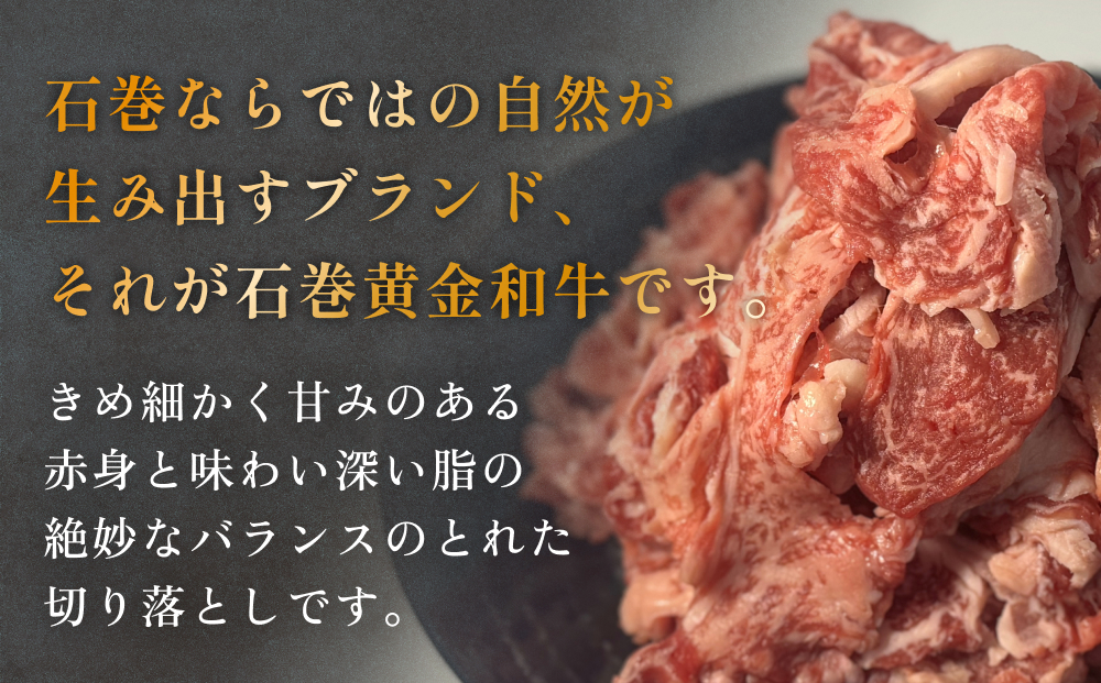 牛肉 石巻 黄金 和牛 切り落とし 300g×1P 赤身 国産 美味しい 使いやすい 小分け 肉　
お肉 細切れ おかず すき焼き 焼肉 冷凍